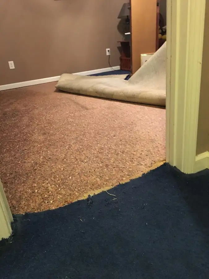Carpet pad removal revealing water damage during Drying & Dehumidification in Massapequa Park