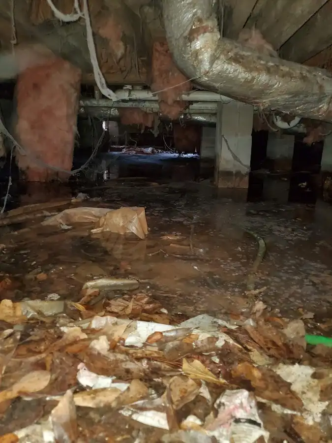 Crawl space flood assessment for Commercial Water Damage Restoration in Massapequa Park